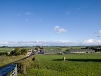 OAT Fields
